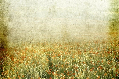 Texture Shit On Pinterest