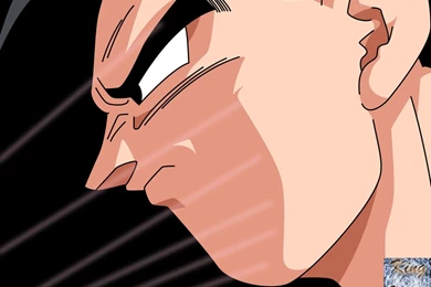 DeviantArt: More Like Dragonball Final Bout Wallpapers By Kingvegito