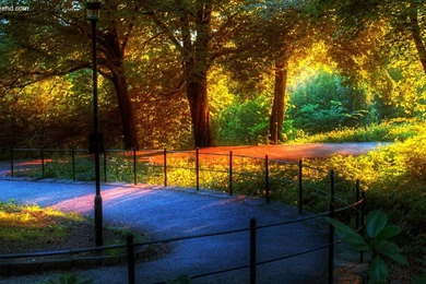 Wallpapers Download HD Wallpapers Desktop Wallpapers ...