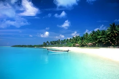 Wallpapers Desktop Wallpapers   Wallpapers Zone