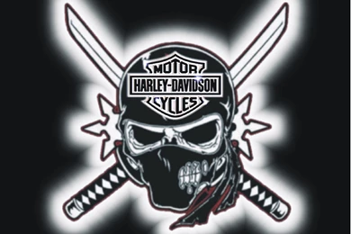 Harley Davidson Skull Wallpapers