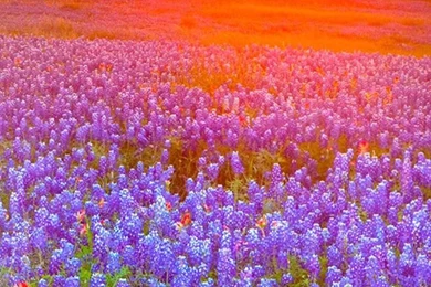 HTC One Max Scenery Wallpapers 88, HTC One Max Wallpapers HD