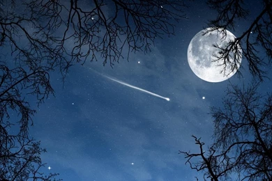 Full HD Wallpapers   Android Apps On Google Play