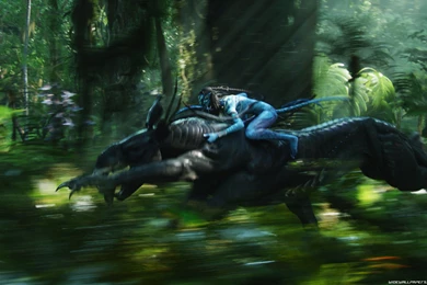 Avatar 2009 Movie 3D HD Wallpapers