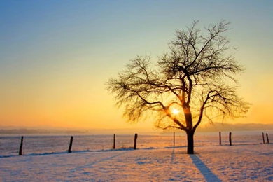 Iphone 5 Wallpapers Free Download