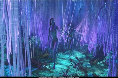 Avatar Wallpaper: Avatar Wallpapers 0126