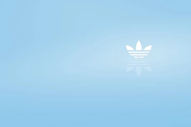 Light Blue Wallpapers   Wallpapers Cave