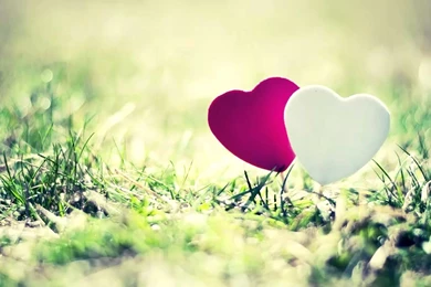 Love Backgrounds Wallpapers