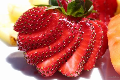 Strawberry Images Free Download
