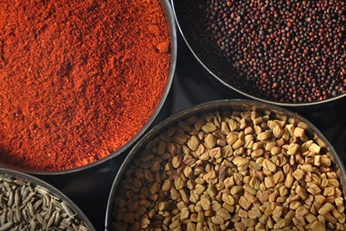 Looking For The New Moto X Wallpapers? Here You Go