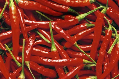 Motorola Moto X (2014) Wallpapers Available For Download ...