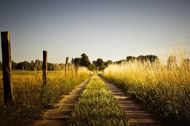 Free Full HD Wallpapers