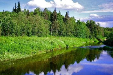 Nature HD Wallpapers Full HD Live Wallpapers Free Download