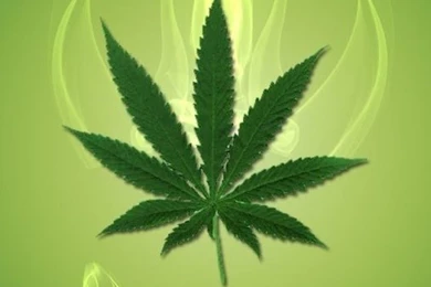 Weed Wallpapers HD   Android Apps On Google Play