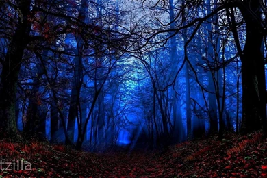 Winter HD Wallpapers (Download Link)   Video Dailymotion