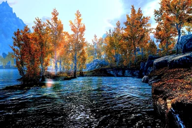 Creek, High, Quality, Wallpaper, Download, Free, Download ...