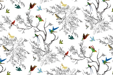 Windows & Wallpapers