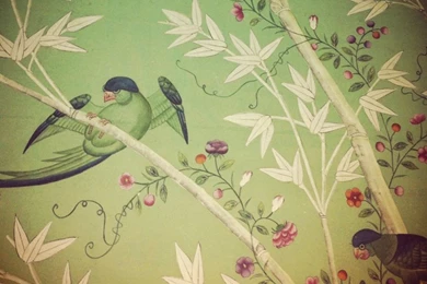 Pattern & Bird Delight