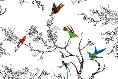 Windows & Wallpapers