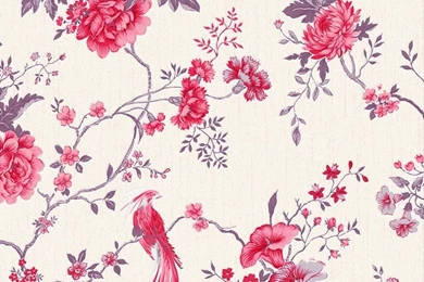 Top Oriental Bird Wallpapers Wallpapers