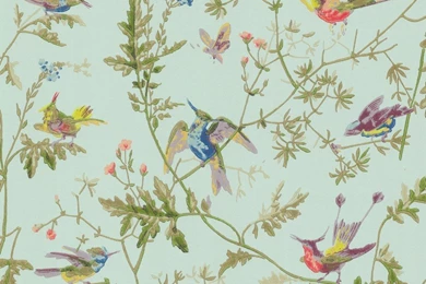 Vintage Bird Wallpapers