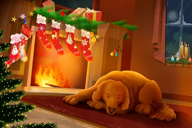 50 Christmas And New Year 2010 HD Wallpapers Downloads ...