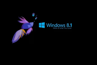 Windows 8.1, 1920x1080 HD Wallpapers And FREE Stock Photo
