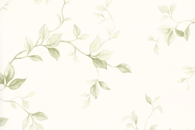 White On Green Leaf Ivy Toile Wallpapers By Chesapeake