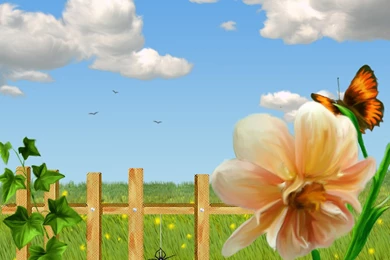 Coming Soon News :: View Topic   Countdown To Summer