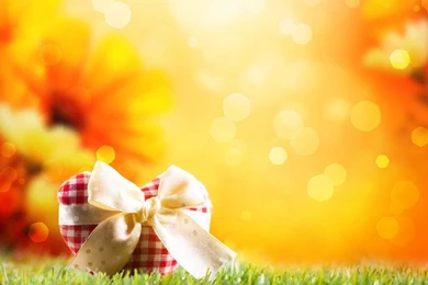 Romantic Love Theme Wallpapers Download   Romantic Love Theme ...