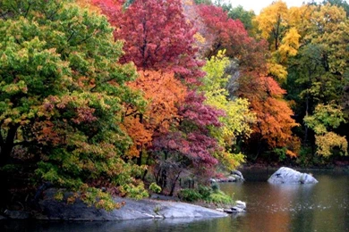 Fall Wallpapers For Computer Wallpapers Cave