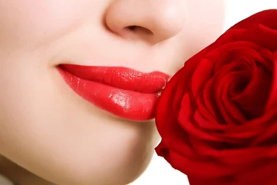 Beautiful Red Flower Wallpapers Mobile