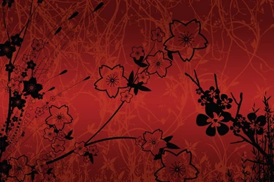 Marvelous Red Flower Wallpapers Walls Inspirations ~ Glass ...