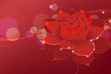 Bright Red Flowers - Flower Wallpapers Free Download Wallpapers ...