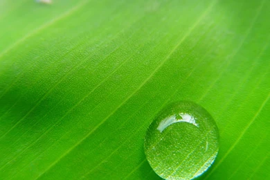 Abstract Art Colorful Colors Design Illustration Light Theme ...