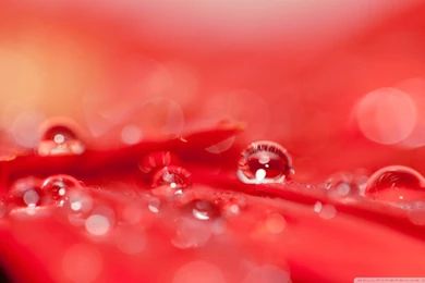 2015 10 02   Page 97