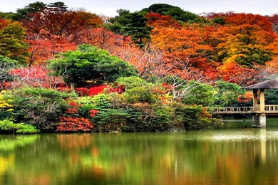 Better Computer Images Using The High Resolution Fall Wallpapers ...