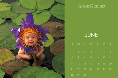 Wallpapers — Anne Geddes