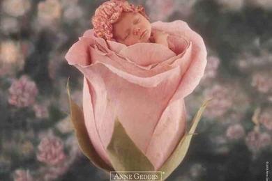 Reino Dulce: Wallpapers Anne Geddes