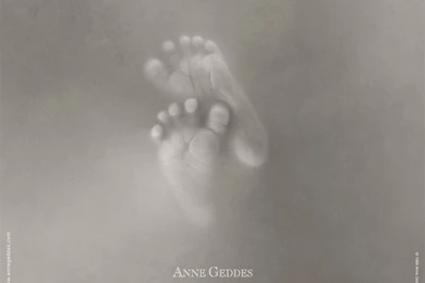 Anne Geddes Wallpapers Wallpapers