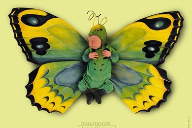 Anne Geddes Baby Photography , Newborn Baby Photography, Baby ...