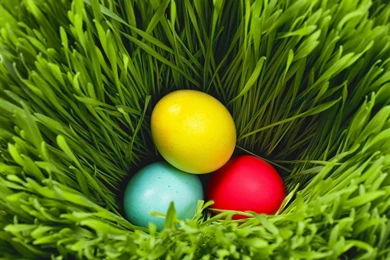 Easter Backgrounds 2016 Download Free   Cool Wallpapers HD