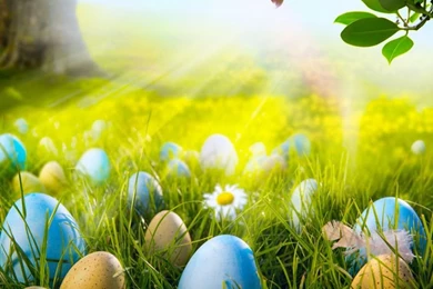 Easter Wallpapers HD Download Free