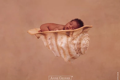 Anne Geddes Wallpapers Wallpapers   2