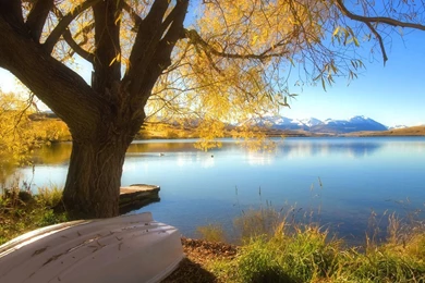 Download Wallpapers Autumn Lake Alexandrina, New Zealand (2560 X ...