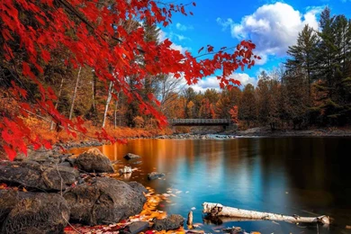 Autumn Wallpapers HD   Android Apps On Google Play