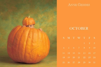 Latest News — Anne Geddes