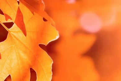 Autumn Lock Screen Desktop 720x1280 Samsung Galaxy Note 2 ...