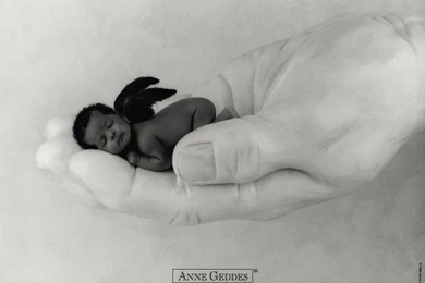 Anne Geddes Baby Pictures