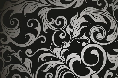 Black Paisley Wallpapers   Wallpapers Zone